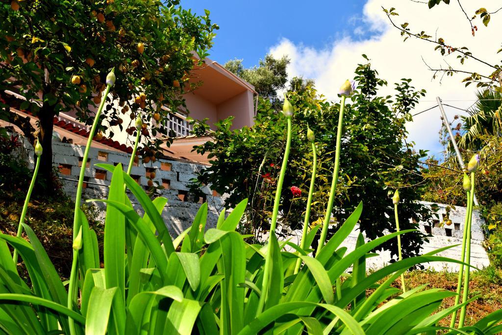 Eden Sea View Studios Μεσογγή Εξωτερικό φωτογραφία
